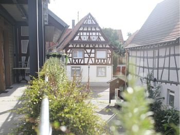 5 Tage Herbst in der Südpfalz