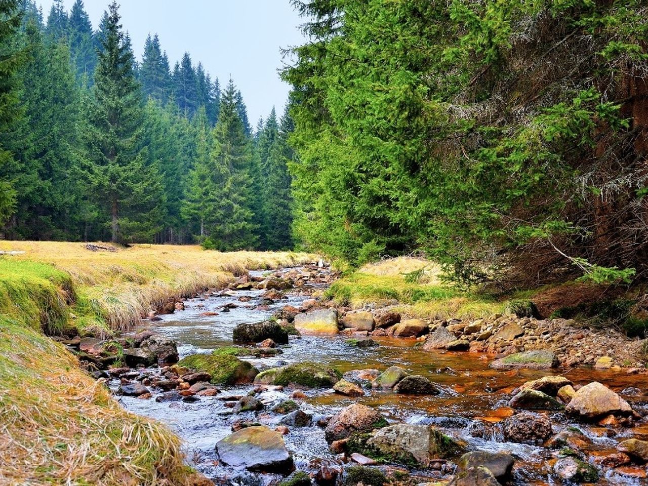 Sonnen-Weekend im Erzgebirge