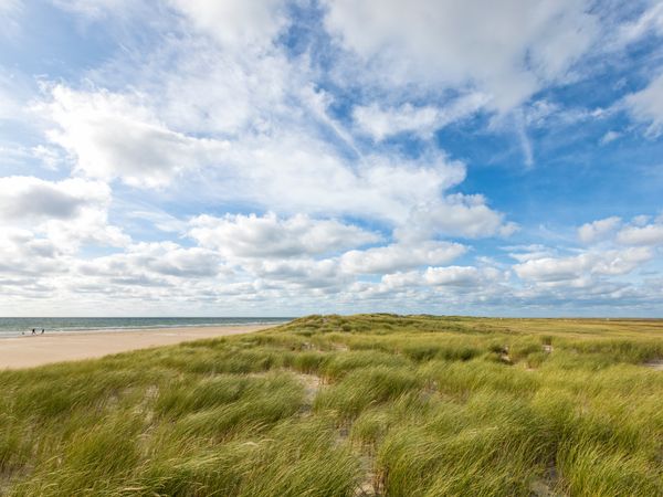 3 Tage Frühlingszauber an der Nordsee inkl. HP in Havneby Rømø, Syddanmark inkl. Halbpension