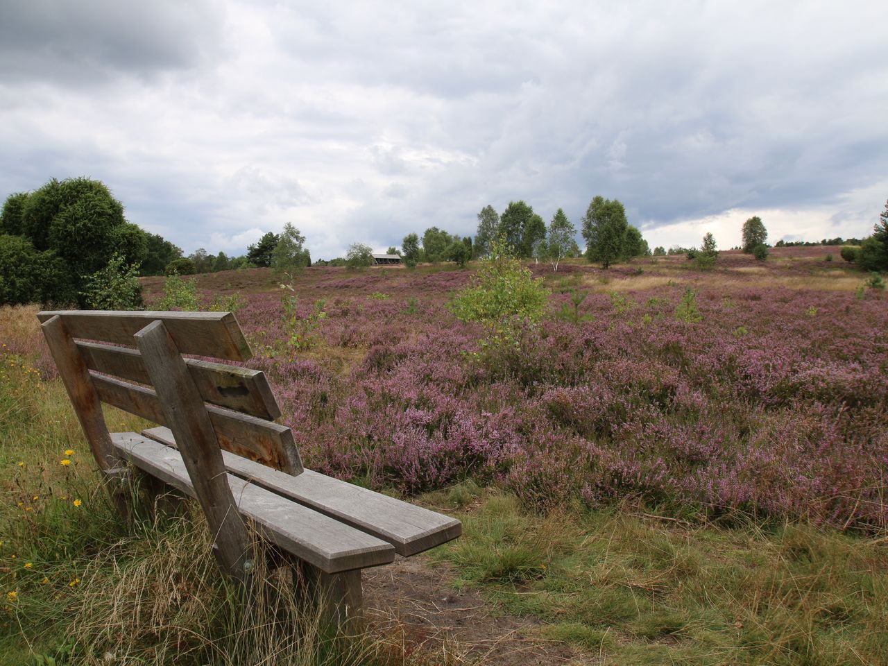 Winterurlaub in der Heide