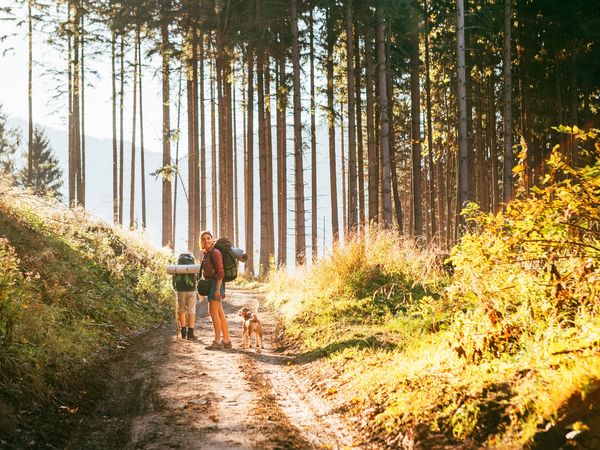 TOP DEAL 3 Tage Schnuppern im Bayerwald Natur pur in Bayerisch Eisenstein, Bayern inkl. Frühstück