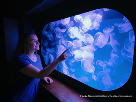OZEANEUM Stralsund mit Ticket und Hotel