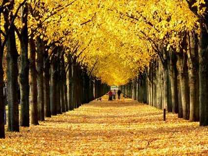 2 Tage im H+ Hotel Hannover mit Frühstück