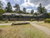 4 Tage im Herzen der Veluwe