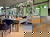 3 Tage Naturerlebnis bei Groningen