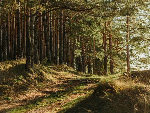 2 Tage Alltagspause im Sauerland in Brilon, Nordrhein-Westfalen inkl. Halbpension