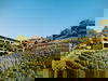 Hotel Pachers ruft! - 5 Tage Wohlfühlurlaub Südtirol