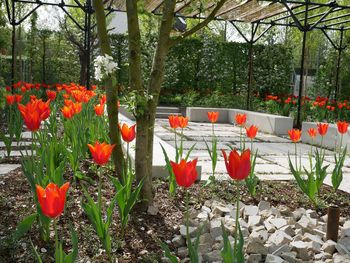 4 Tage Landesgartenschau in Kirchheim bei München