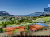 Wundervoller Familienurlaub am Gardasee - 4 Tage