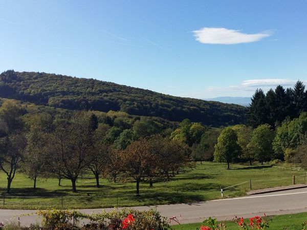 4 Tage Genuss im Markgräflerland und dem Schwarzwald in Badenweiler, Baden-Württemberg inkl. Halbpension