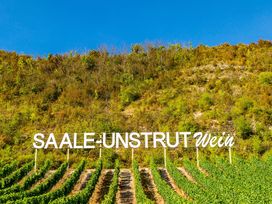 Kurztrip mit dem eigenen Rad - Naumburg & Umgebung erleben