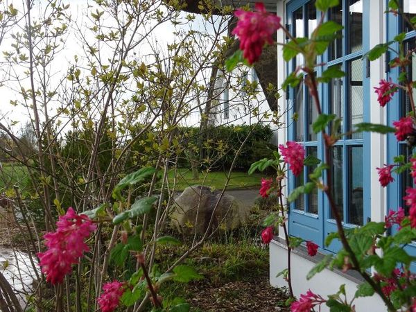2 Tage in der jüngsten Stadt Rügens mit Frühstück Wreecher Hof in Putbus, Mecklenburg-Vorpommern inkl. Frühstück