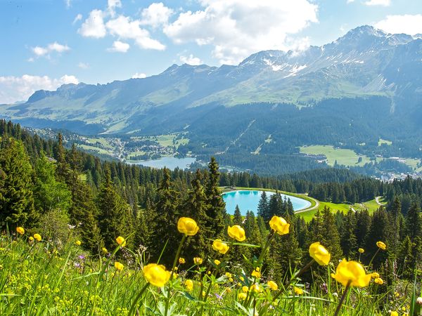 Eine Nacht in den Bergen inkl. Frühstück in Lenzerheide, Graubünden inkl. Frühstück