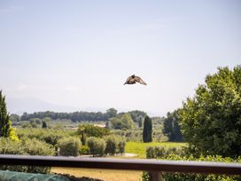 3 Tage Sonne, See & Luxus – Urlaub im Splendid Sole