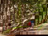 SommerZeit im Schwarzwald