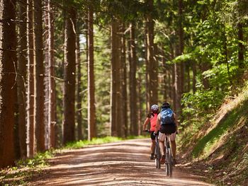 Basenfasten & Yoga im Schwarzwald