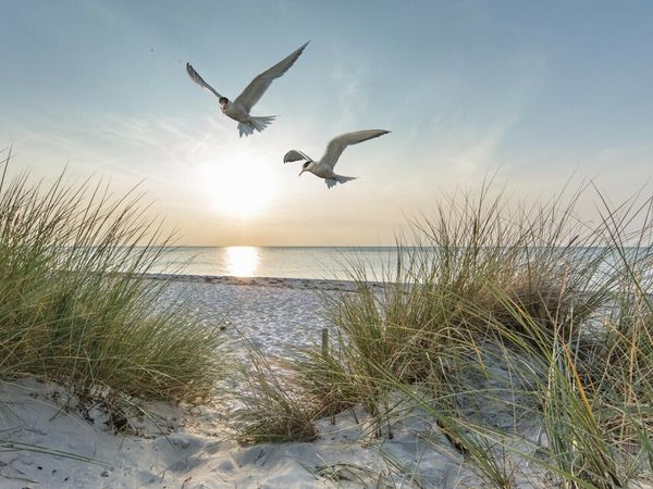 4 Tage Wismar inkl. 1 x Abendessen, Mecklenburg-Vorpommern inkl. Halbpension