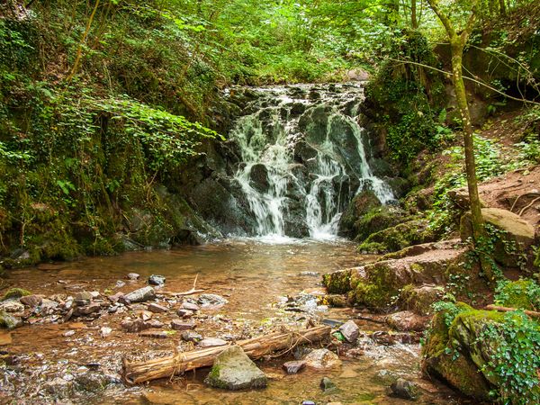 Midweek-Special – 1 Nacht geschenkt! in Hürtgenwald OT Vossenack Halbpension