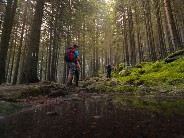 8 Tage im Waldeck SPA Kur-und Wellness mit Frühstück in Bad Dürrheim, Baden-Württemberg inkl. Frühstück