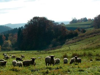 Auszeit im Hochsauerland - 3 Tage mit HP