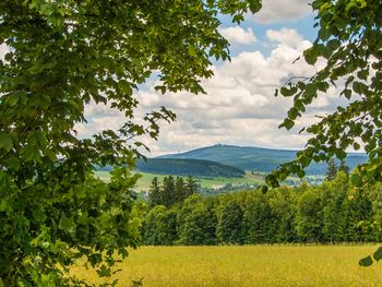 Familien-Erlebnis Zwickau & Erzgebirge- 7 Tage