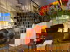 Drei Wellnesstage in der Vulkaneifel & Therme