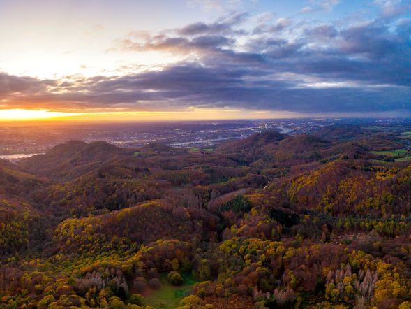4 Tage Rhein Genuss in Bonn mit Frühstück