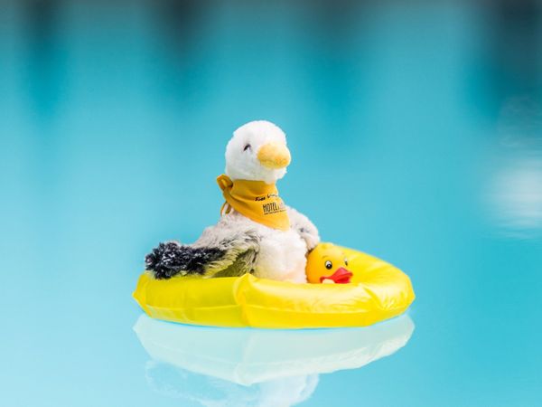 4 Tage Winterzauber in Warnemünde, Mecklenburg-Vorpommern inkl. Halbpension