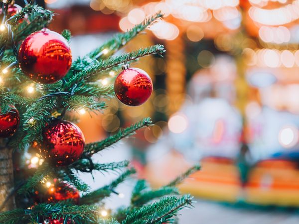 Märchenhafte Weihnachtszeit in Schwerin – 3 Tage, Mecklenburg-Vorpommern inkl. Frühstück