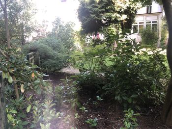 Bild 21 von 25