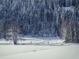 Umgeben vom Schwarzwald - 2 Tage Erholung am Titisee