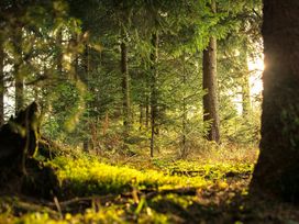 Auszeit im Thüringer Wald - 6 Tage