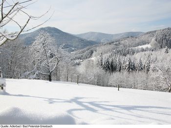 4 Tage im Flair Kurhotel Adlerbad mit HP