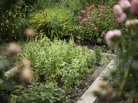 Bergerlebnisse in Südtirol & den Dolomiten - 3 Tage