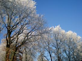 Veluwe Auszeit im Hotel De Paasberg – 3 Tage