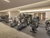 2 Tage Kurzurlaub mit Frühstück im Hilton Heidelberg