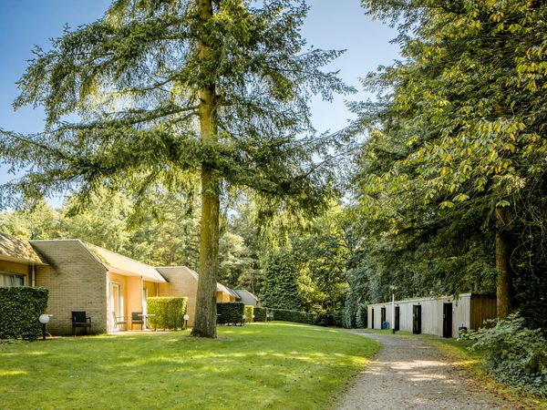 6 Tage Kurzurlaub in der Veluwe: Wald, Ruhe & Natur in Putten Halbpension