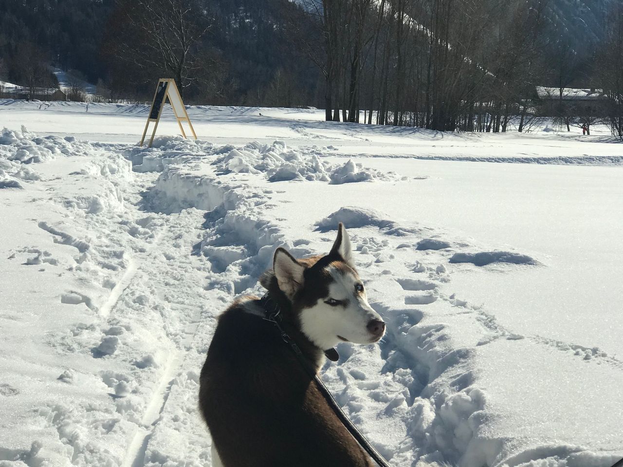 5 Tage Skifahren im Chiemgau