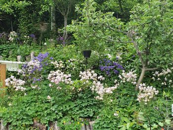 We are Family! Abenteuerurlaub in der buckligen Welt