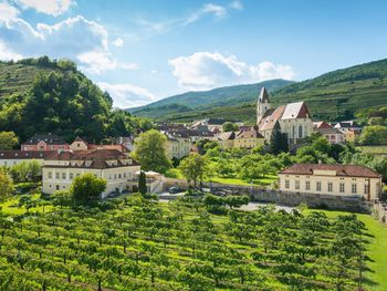 7 Tage Weingenuss in Niederösterreich mit HP