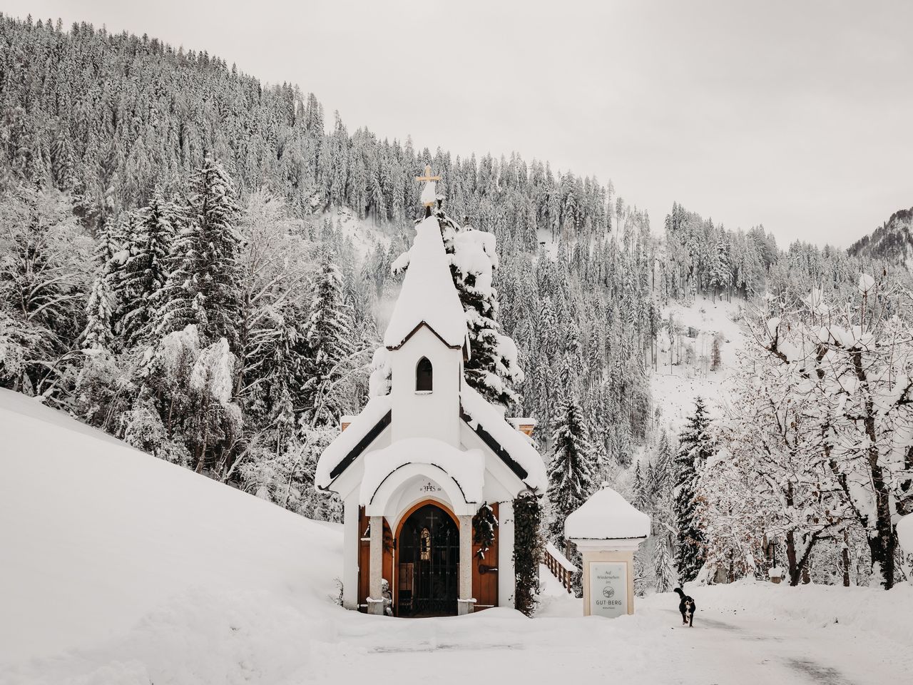 Familienurlaub & Bauernhoferlebnis im Salzburger Land