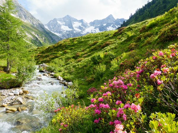 Tirol erleben – 7 Tage Fieberbrunn mit HP inkl. Halbpension