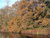 Ruhe und Natur - 2 Tage im Wald von Enschede