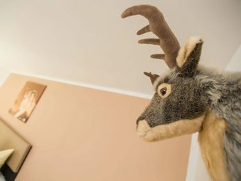 4 Tage Aktivurlaub in Wald am Arlberg mit Frühstück