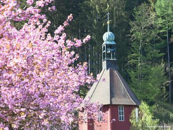 Gartenschau 2025 Freudenstadt inkl. Eintritt - 3 Tage