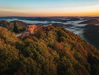 Kurz-mal-weg: 4 Tage in den Pfälzer Wald