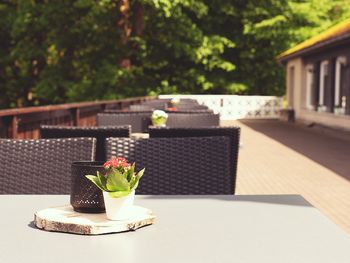 3 für 2 – Harzer Wochenstart mit Bonusnacht