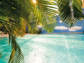 Tropisch Zelten nahe Berlin! 2 Tage Kurzurlaub mit Frühstück im Zelte at Tropical Islands