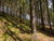 3 Tage Wandererlebnis im Erzgebirge