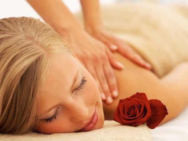 Meißner Relax-Urlaub in Meißen Halbpension